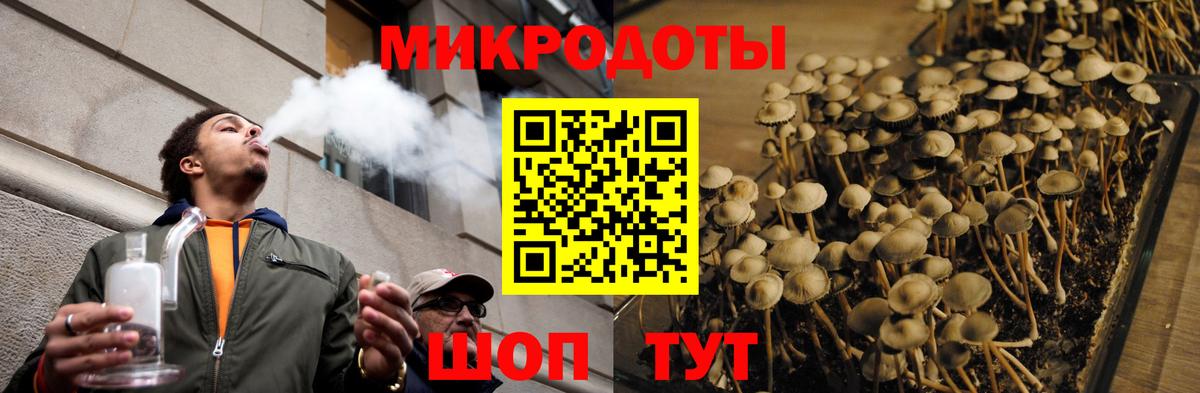 Галлюциногенные грибы GOLDEN TEACHER  Вход с VPN  Чита 
